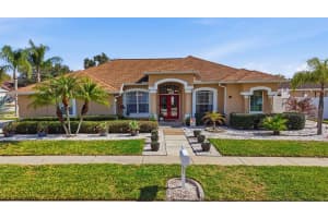 1436 FOX CHAPEL DRIVE, LUTZ, FL 33549 - MLS#MFRTB8482126