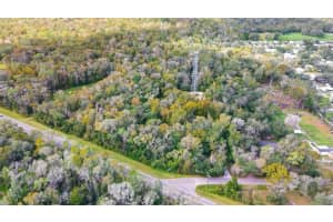 14902 DEAD RIVER ROAD, THONOTOSASSA, FL 33592 - MLS#MFRTB8482130