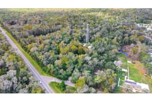 14902 DEAD RIVER ROAD, THONOTOSASSA, FL 33592 - MLS#MFRTB8482130