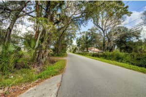 14902 DEAD RIVER ROAD, THONOTOSASSA, FL 33592 - MLS#MFRTB8482130