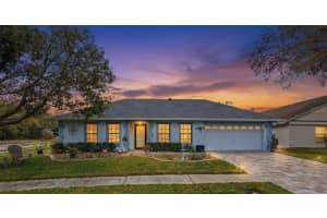 9727 FOX CHAPEL ROAD, TAMPA, FL 33647 - MLS#MFRTB8482135