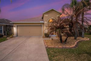 9524 ROLLING CIRCLE, SAN ANTONIO, FL 33576 - MLS#MFRTB8482138