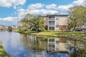 4211 CHATHAM OAK COURT, TAMPA, FL 33624 - MLS#MFRTB8482155