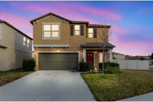 9411 LEMON DROP LOOP, SUN CITY CENTER, FL 33573 - MLS#MFRTB8482162