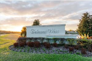 9411 LEMON DROP LOOP, SUN CITY CENTER, FL 33573 - MLS#MFRTB8482162