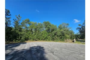 13431 FLAGSTAFF DRIVE, BROOKSVILLE, FL 34614 - MLS#MFRTB8482195