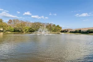 4813 MICHELLE LANE, PALM HARBOR, FL 34684 - MLS#MFRTB8482198