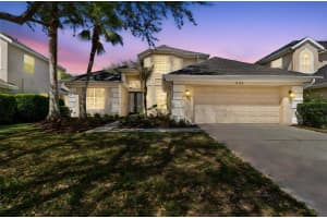 10162 DEERCLIFF DRIVE, TAMPA, FL 33647 - MLS#MFRTB8482200