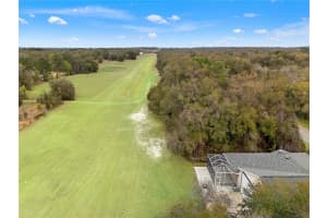 13780 SE 100TH AVE, BELLEVIEW, FL 34420 - MLS#MFRTB8482202