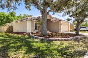 25016 HYDE PARK BOULEVARD, LAND O LAKES, FL 34639 - MLS#MFRTB8482215