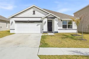 31019 Penny Surf Loop, WESLEY CHAPEL
