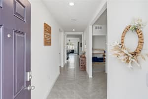 31019 PENNY SURF LOOP, WESLEY CHAPEL, FL 33545 - MLS#MFRTB8482234