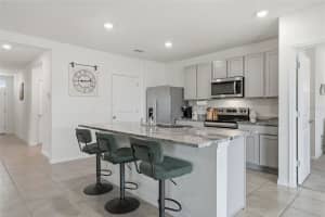 31019 PENNY SURF LOOP, WESLEY CHAPEL, FL 33545 - MLS#MFRTB8482234