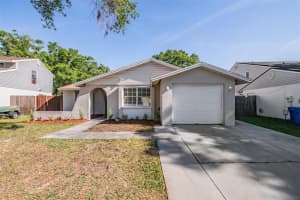 4903 Traskwood Ct, TAMPA