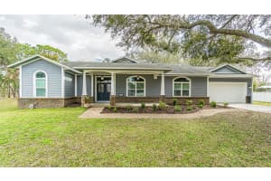 12211 COUNT PLACE, THONOTOSASSA, FL 33592 - MLS#MFRTB8482261