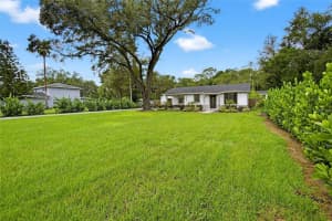 12308 53RD STREET, TEMPLE TERRACE, FL 33617 - MLS#MFRTB8482263