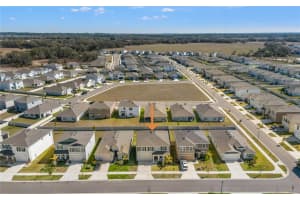 6199 WANDERING WILLOW DRIVE, WESLEY CHAPEL, FL 33545 - MLS#MFRTB8482274