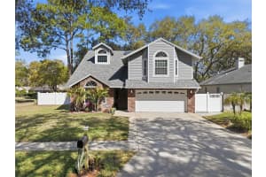 3277 Montrose Cir, PALM HARBOR