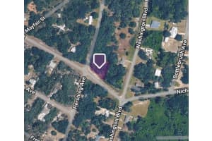 335 PERSHING AVENUE, LAKE PLACID, FL 33852 - MLS#MFRTB8482315