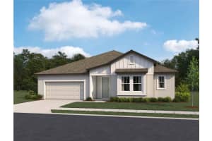 10037 Hidden Hammock Loop, PARRISH