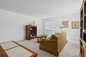 1706 BELLEAIR FOREST DRIVE, BELLEAIR, FL 33756 - MLS#MFRTB8482356