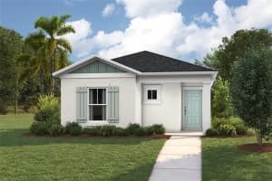 9058 Citrus Grove Way, DADE CITY