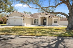 3445 SILVERSTONE COURT, PLANT CITY, FL 33566 - MLS#MFRTB8482399