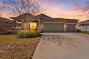 18999 MALINCHE LOOP, SPRING HILL, FL 34610 - MLS#MFRTB8482401