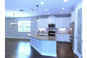 3208 HEART PINE AVENUE, ODESSA, FL 33556 - MLS#MFRTB8482427