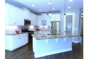 3208 HEART PINE AVENUE, ODESSA, FL 33556 - MLS#MFRTB8482427