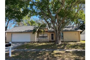 200 ARBOR DRIVE, PALM HARBOR, FL 34683 - MLS#MFRTB8482438