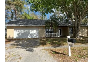 200 ARBOR DRIVE, PALM HARBOR, FL 34683 - MLS#MFRTB8482438