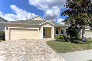 19411 SUNSET BAY DRIVE, LAND O LAKES, FL 34638 - MLS#MFRTB8482460