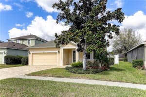 19411 SUNSET BAY DRIVE, LAND O LAKES, FL 34638 - MLS#MFRTB8482460