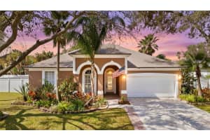1509 WILDFOWL PLACE, LUTZ, FL 33549 - MLS#MFRTB8482489