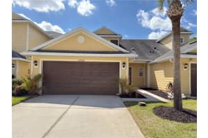 20228 Indian Rosewood Dr, TAMPA