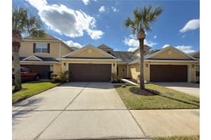 20228 INDIAN ROSEWOOD DRIVE, TAMPA, FL 33647 - MLS#MFRTB8482507
