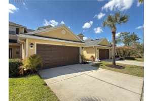 20228 INDIAN ROSEWOOD DRIVE, TAMPA, FL 33647 - MLS#MFRTB8482507