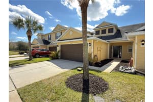 20228 INDIAN ROSEWOOD DRIVE, TAMPA, FL 33647 - MLS#MFRTB8482507