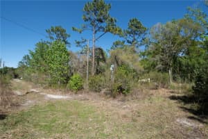 12934 TANNER ROAD, NEW PORT RICHEY, FL 34654 - MLS#MFRTB8482509
