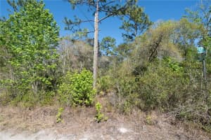 12934 TANNER ROAD, NEW PORT RICHEY, FL 34654 - MLS#MFRTB8482509