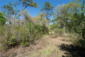 12934 TANNER ROAD, NEW PORT RICHEY, FL 34654 - MLS#MFRTB8482509