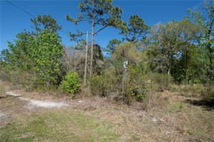 12934 TANNER ROAD, NEW PORT RICHEY, FL 34654 - MLS#MFRTB8482509