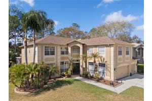 4202 ROTHERHAM COURT, PALM HARBOR, FL 34685 - MLS#MFRTB8482524