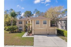 4202 ROTHERHAM COURT, PALM HARBOR, FL 34685 - MLS#MFRTB8482524
