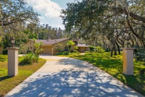 10206 LAKEVIEW DRIVE, NEW PORT RICHEY, FL 34654 - MLS#MFRTB8482526