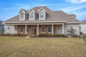 12051 DRIVER LANE, SPRING HILL, FL 34610 - MLS#MFRTB8482534