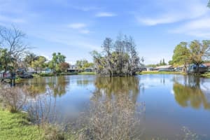 16133 SANDCREST WAY, TAMPA, FL 33618 - MLS#MFRTB8482539