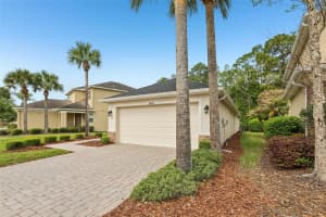 16066 BELLA WOODS DRIVE, TAMPA, FL 33647 - MLS#MFRTB8482542