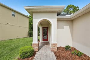 16066 BELLA WOODS DRIVE, TAMPA, FL 33647 - MLS#MFRTB8482542